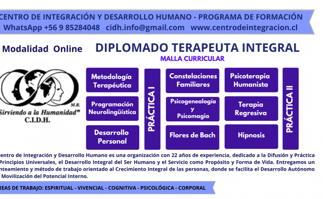 DIPLOMADO TERAPEUTA INTEGRAL ONLINE